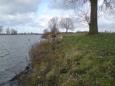 langs de kant van de maas