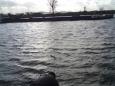 de maas bij batenburg