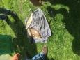 IMG 0905